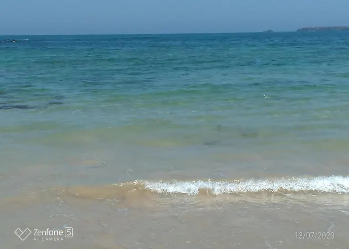 Nature And Flat Daire *