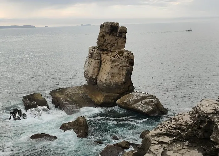 Nature And Flat Daire Peniche