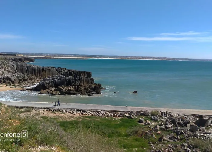 Nature And Flat Daire