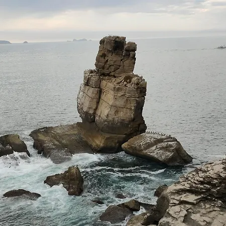 Nature And Flat Apartamento Peniche