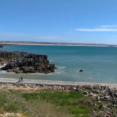 Nature And Flat Apartamento