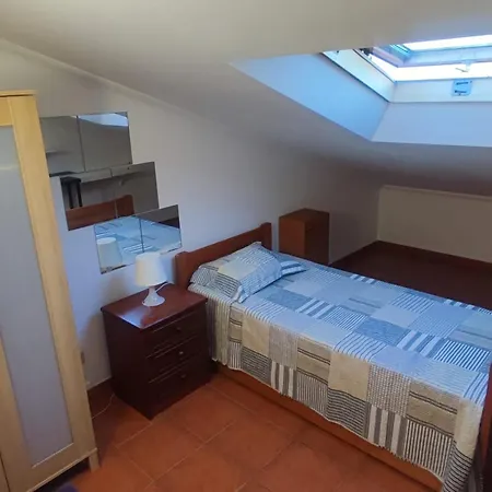 Nature And Flat Apartamento *